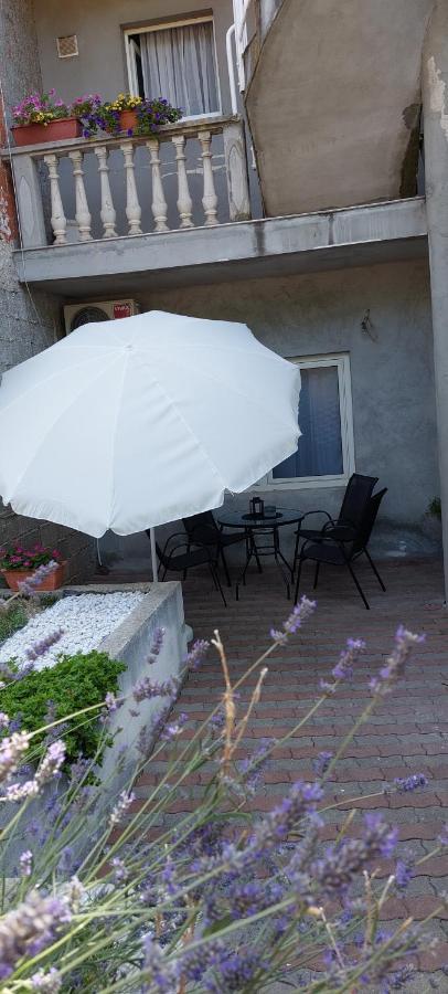 Apartman Marin - Ζαντάρ Εξωτερικό φωτογραφία